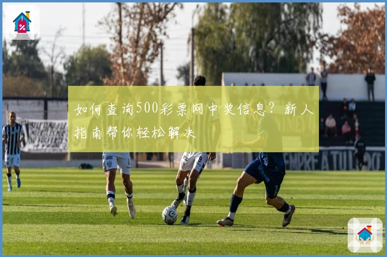 如何查询500彩票网中奖信息？新人指南帮你轻松解决