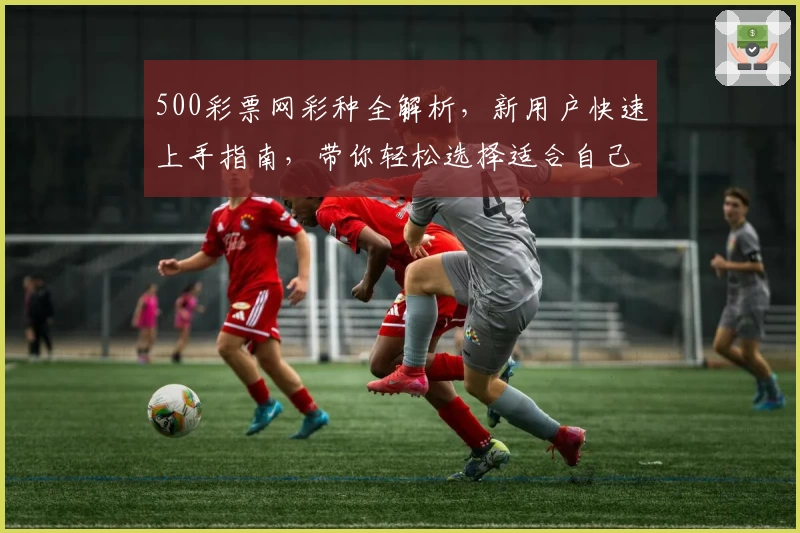 500彩票网彩种全解析，新用户快速上手指南，带你轻松选择适合自己的彩种