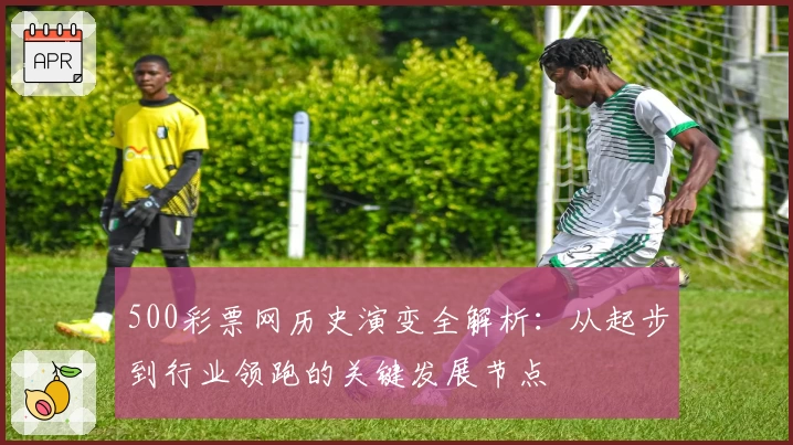 500彩票网历史演变全解析:从起步到行业领跑的关键发展节点