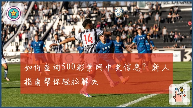 如何查询500彩票网中奖信息？新人指南帮你轻松解决